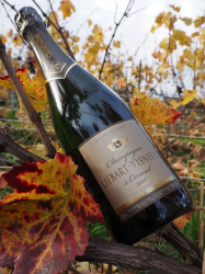 Champagne LIEBART BRUT